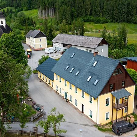 Naturparkresort Geoapartment Gams bei Hieflau Екстер'єр фото